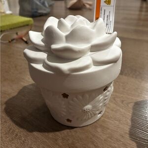 Light up painting craft ceramic succulent- 2 PACK